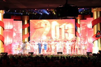 2013��Ӫ��ҵ����