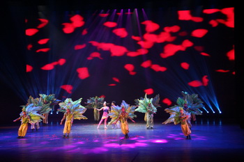 �й��㲥������������